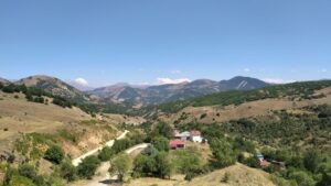 DEREBOYU-DANZİK-20240811_133820