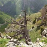 ARDIÇ-PÜLÜMÜR VADİSİ-20250518_141111