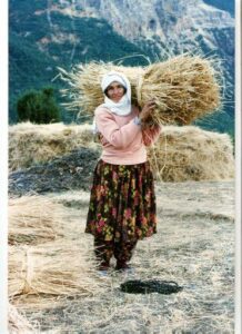 YILMAZ FIRAT-ANNESİ ESMA FIRAT- BUĞDAY DEMETİ TAŞIRKEN