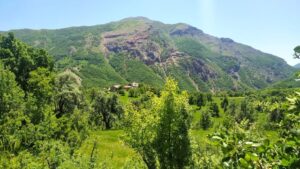MEZRA KÖYÜ-20250525_123419