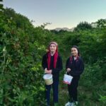 BÖĞÜRTLEN TOPLAYAN KIZLAR-ERZİNCAN TATLISU KÖYÜ