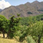 HINZORİ-20250809_140514