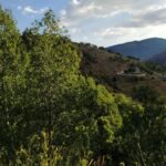 ÇATALYAKA-GEYİK AİLELERİNİN EVLERİ-20240701_065910