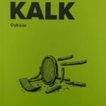 HAYRİ SARI-KALK-KAPAK-20251203