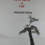 ABDULLAH KALAY-İYİLİĞİN MEZİYETİ 1_20260311_091928