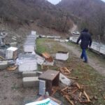 ALİ KAMER DEMİRBİLEK-ARI KOVANLARINA AYI SALDIRISI