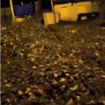 KIRMIZIKÖPRÜ-SEL