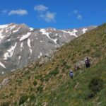 ERZİNCAN TATLISU KÖYÜ YAYLA---