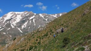 ERZİNCAN TATLISU KÖYÜ YAYLA---