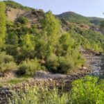 1-PÜLÜMÜR ÇAYI-ŞİRKET-YATAK DEĞİŞTİRME-20260730_073237