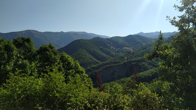 BEĞENDİK-20260724_074636