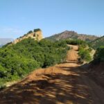DOĞANKÖY YOLU-20260718_073249