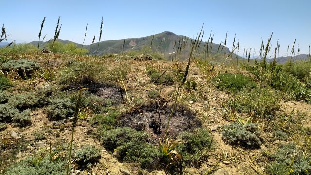 YAKILMIŞ GEVEN-WARE VILE MEXS-20260727_115141